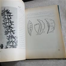 آموزش