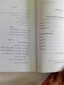 قارچ