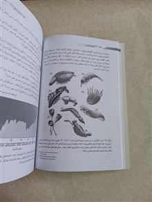 الفبای