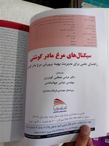 سیگنال