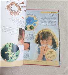 بدن