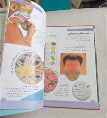 بدن