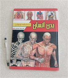 بدن