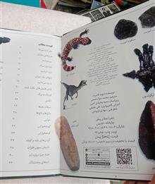 دانشنامه