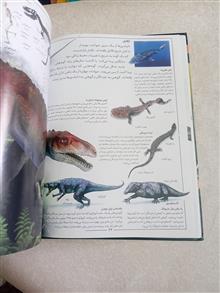 دانشنامه