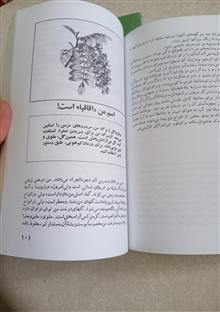زبان