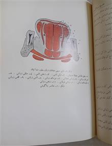 تشریح