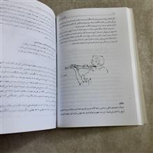 شش