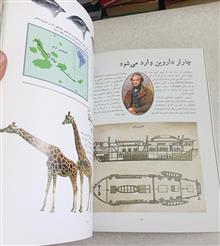 تکامل