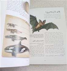 تکامل