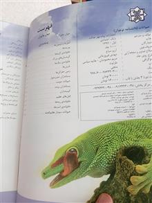 حیوانات