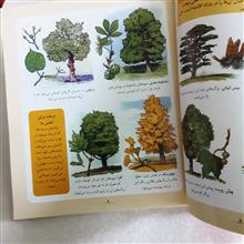 دایره