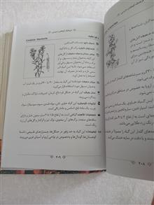 فرهنگ