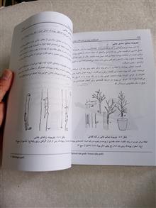 فیزیولوژی