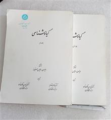 گیاه