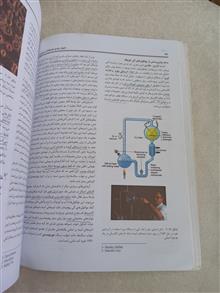اصول
