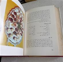 هنر