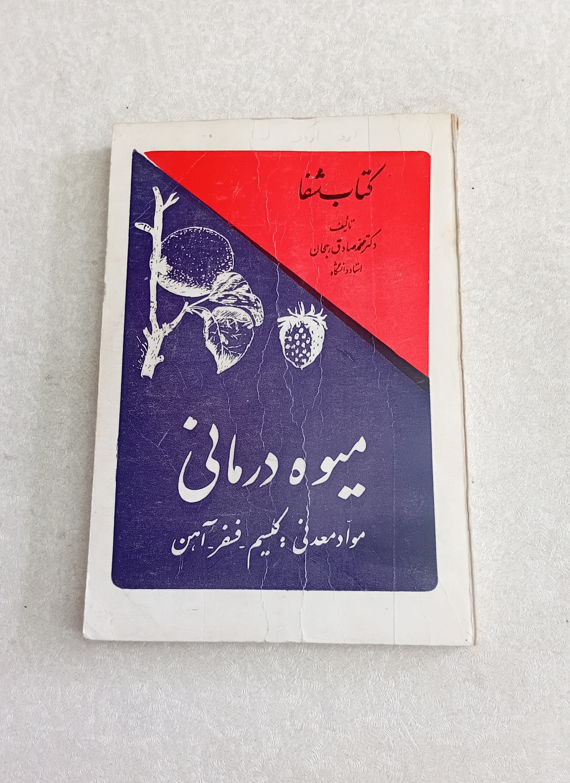 کتاب شفا _میوه درمانی_