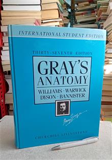 GRAYS