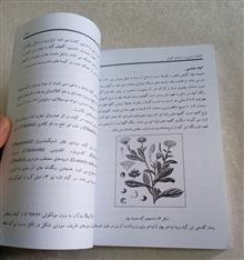گیاهان