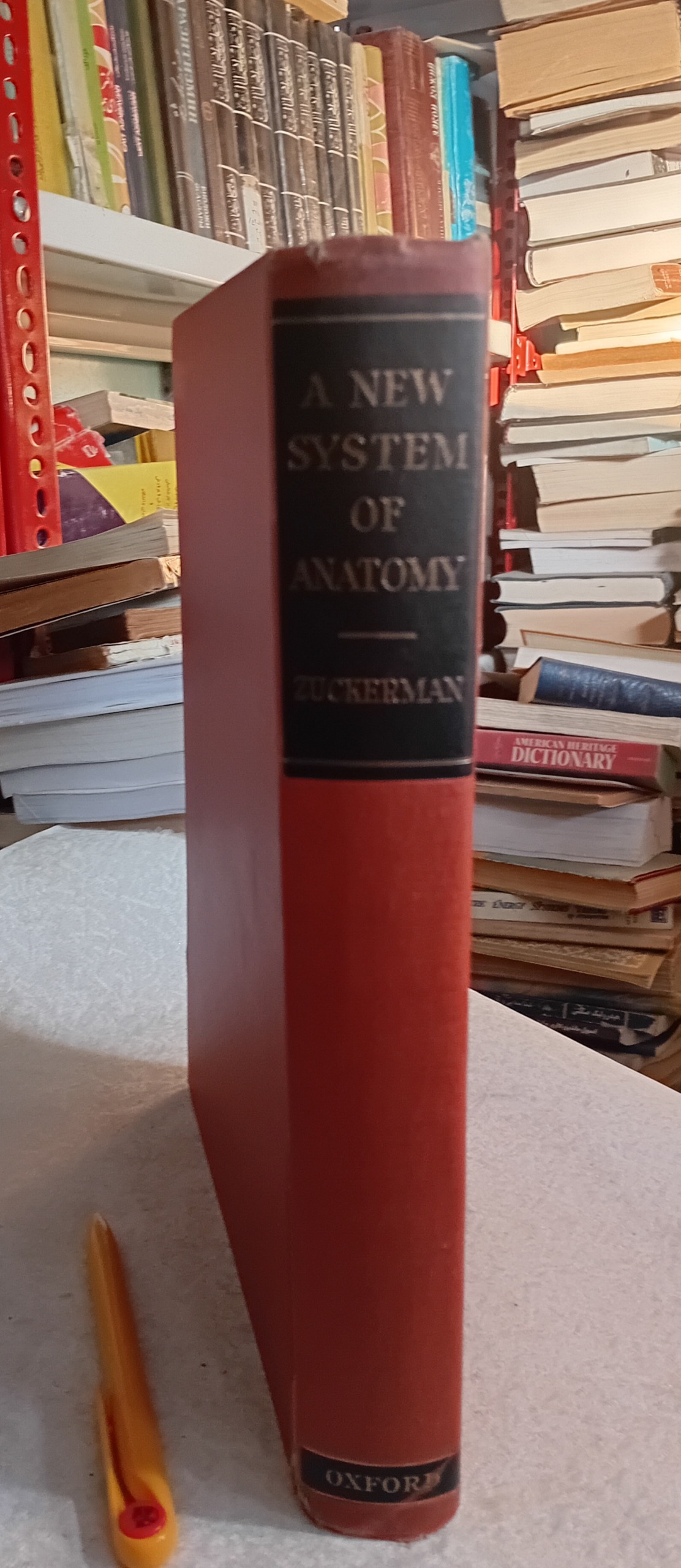 A NEW SYSTEM OF ANATOMY