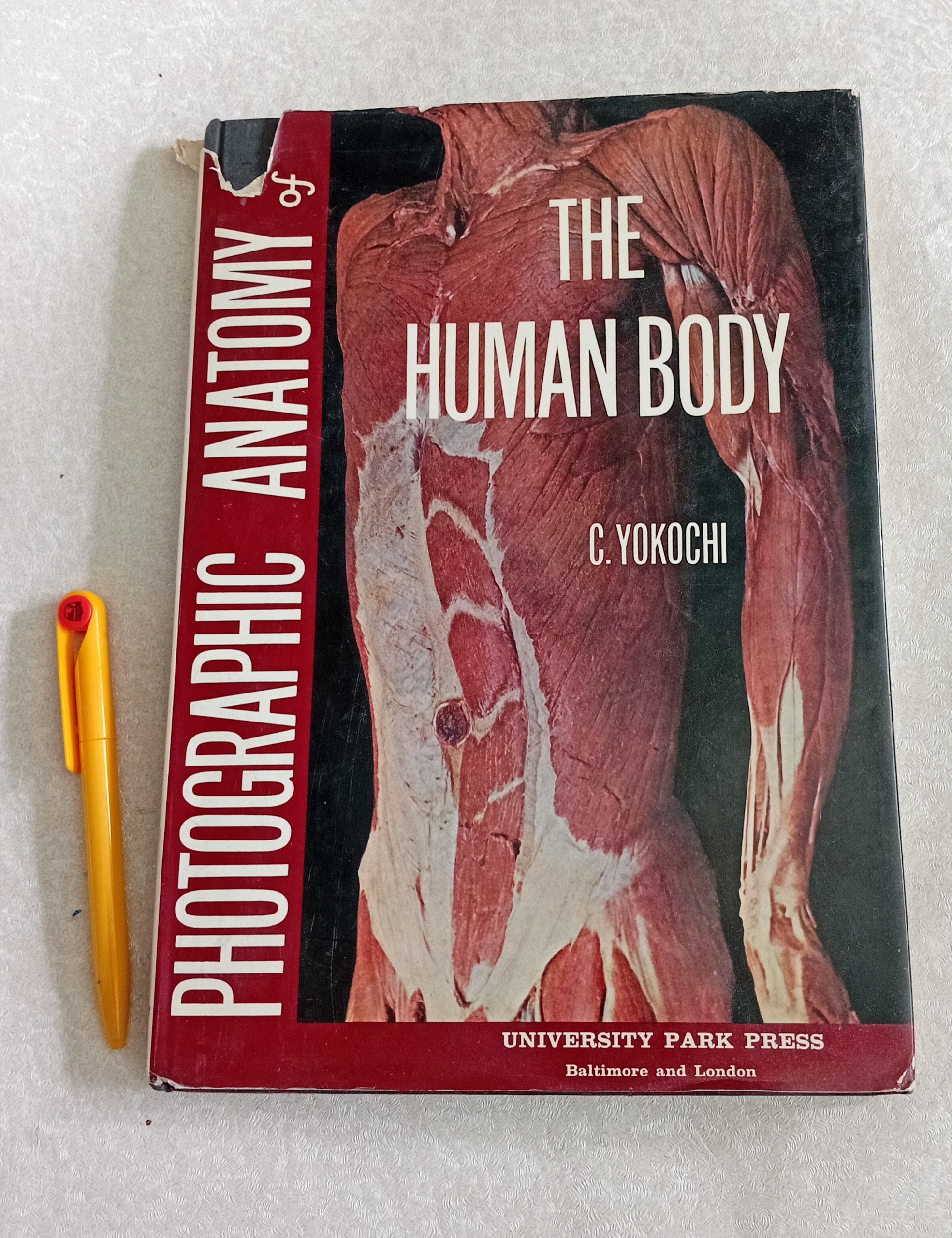 PHOTOGRAPHIC ANATOMY OF THE HUMAN BODY