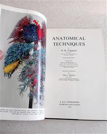 ANATOMICAL