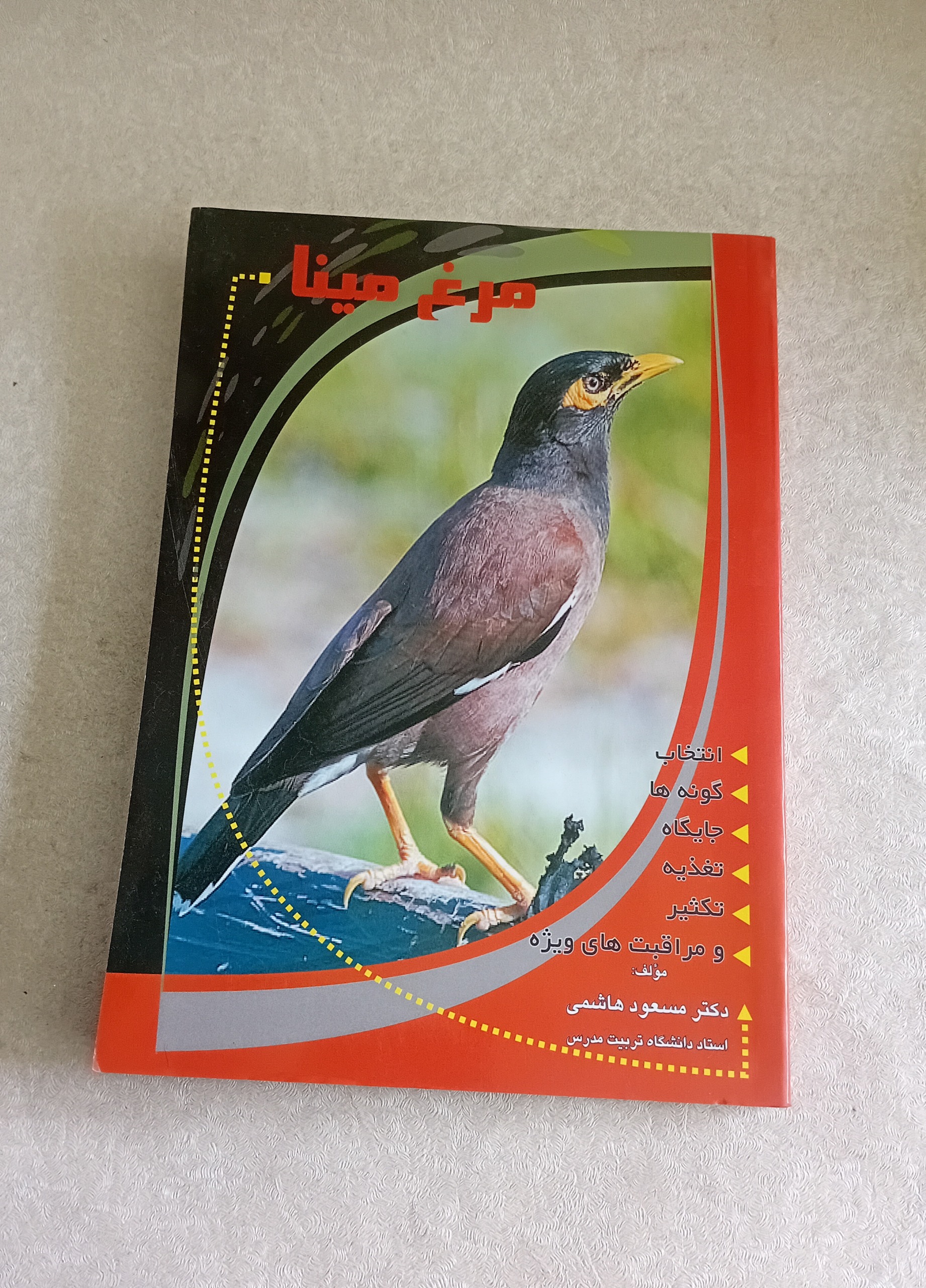 مرغ مینا (مسعود هاشمی)