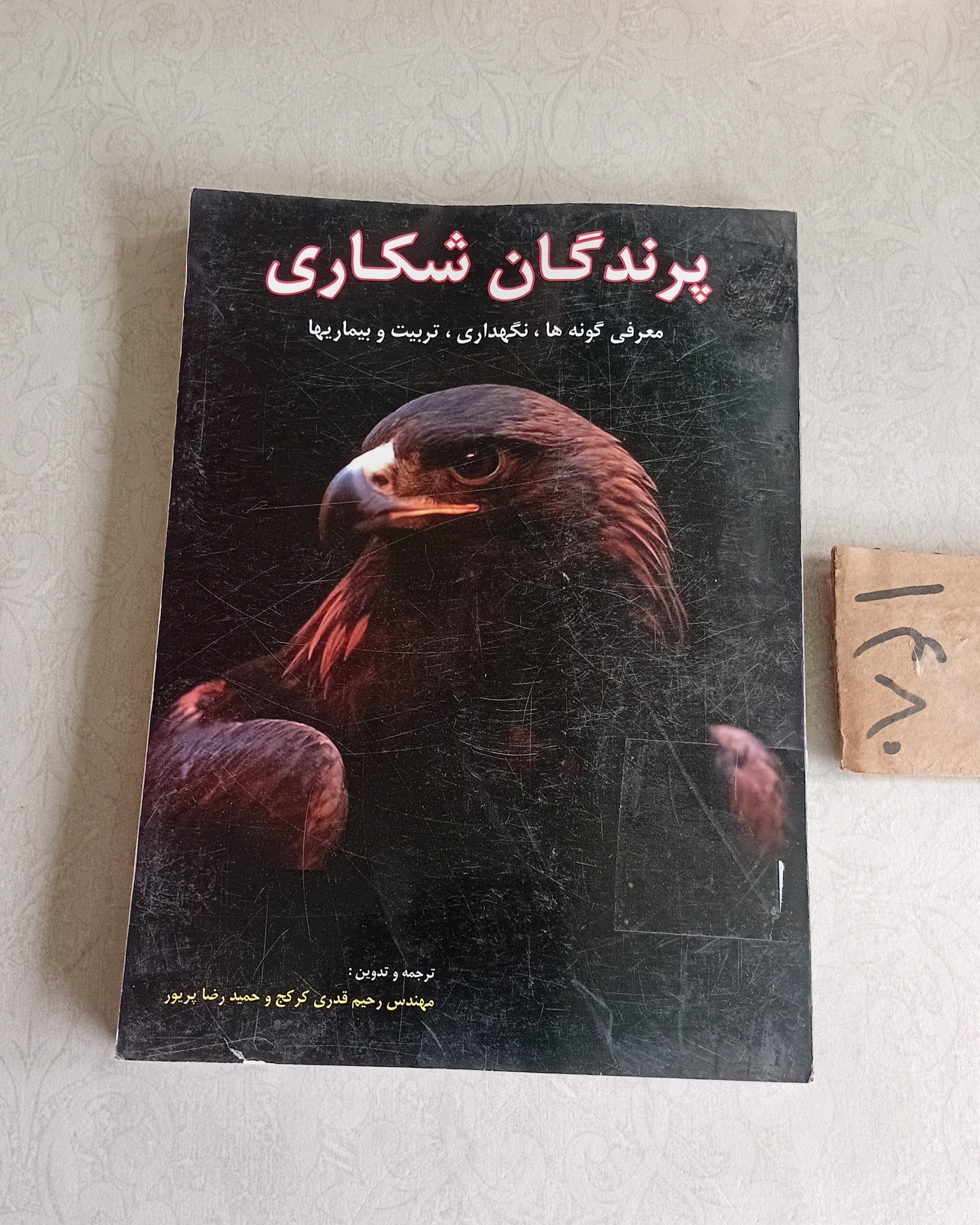 پرندگان شکاری (نگهداری، تربیت، بیماری)