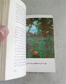 راهنمای