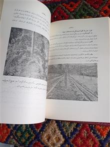 کودها