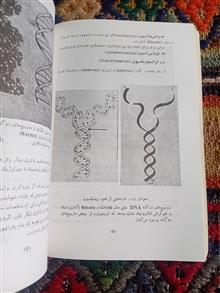 باکتریولوژی