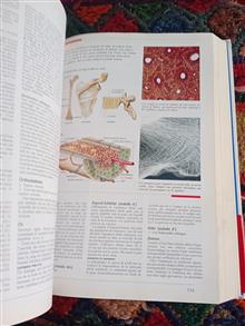 LAROUSSE