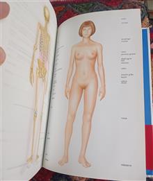 LAROUSSE