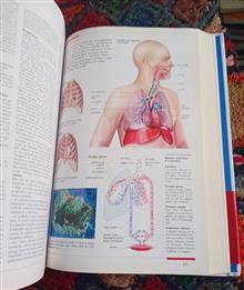 LAROUSSE