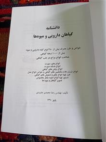 دانشنامه