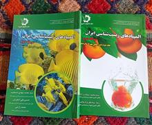المپیادهای