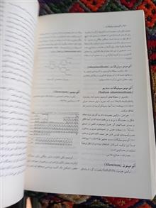 دایره