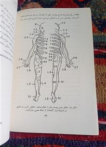 اصول