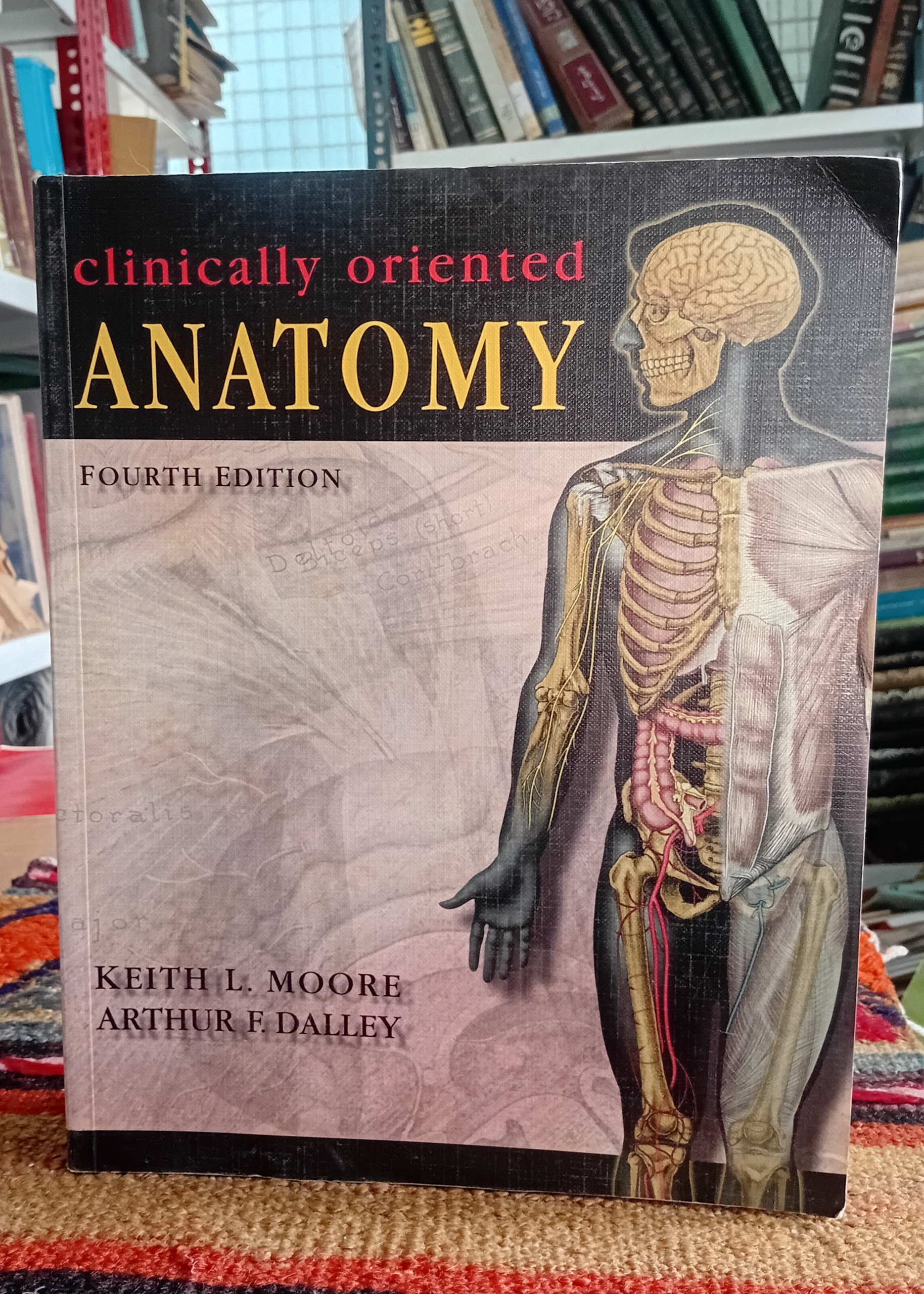 Clinically oriented ANATOMY