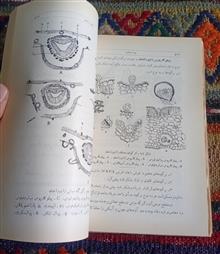 مفردات