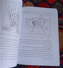 زمین