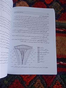 زمین