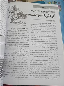 فصل