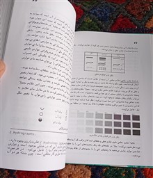 کارتوگرافی