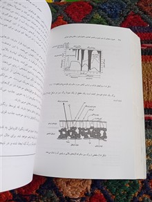 اصول