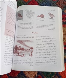 جانورشناسی