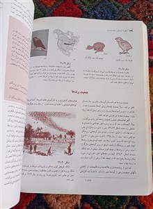 جانورشناسی