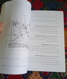 بافت