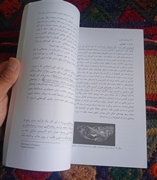 تاریخچه